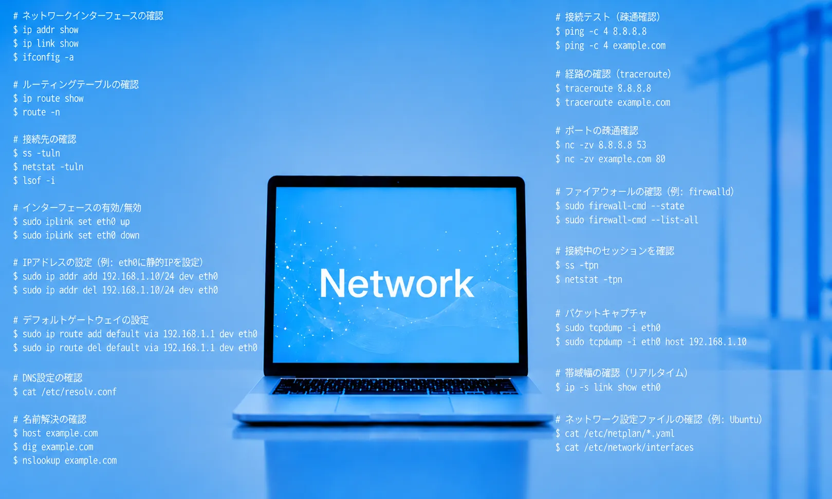 ネットワーク構築基礎研修