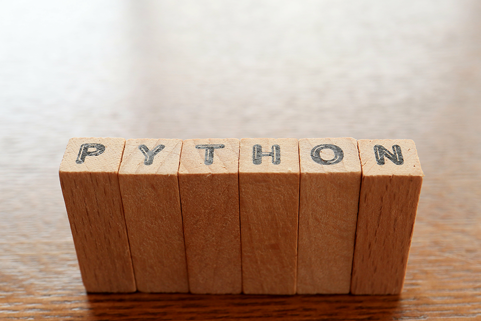 Pythonエンジニアスキル診断（ITSS準拠）