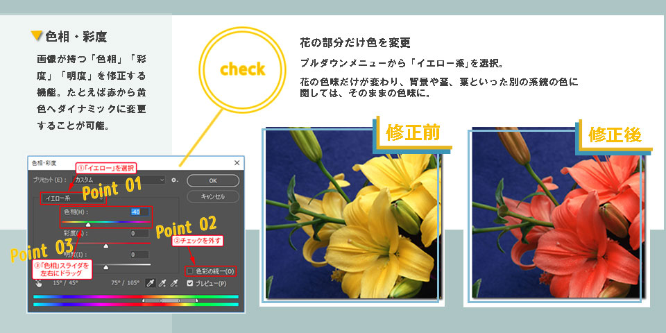 サンプル画像3